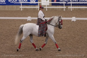 Lusitano Breed Society of Great Britain Show - Hartpury College - 27th June 2009